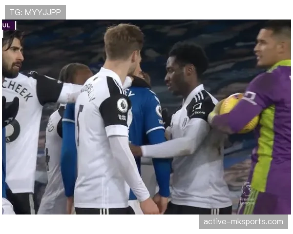 赫尔城保级经验再成范例，英超多队借鉴寻求自救之道